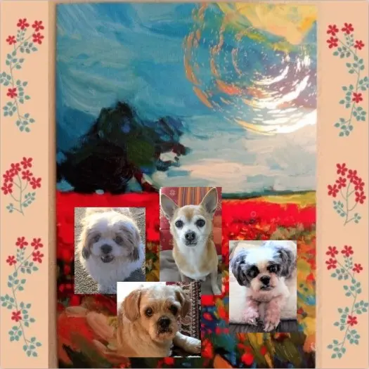 Andachtsbild von Rosen für ❀✰♥ Jimmy ❀✰♥