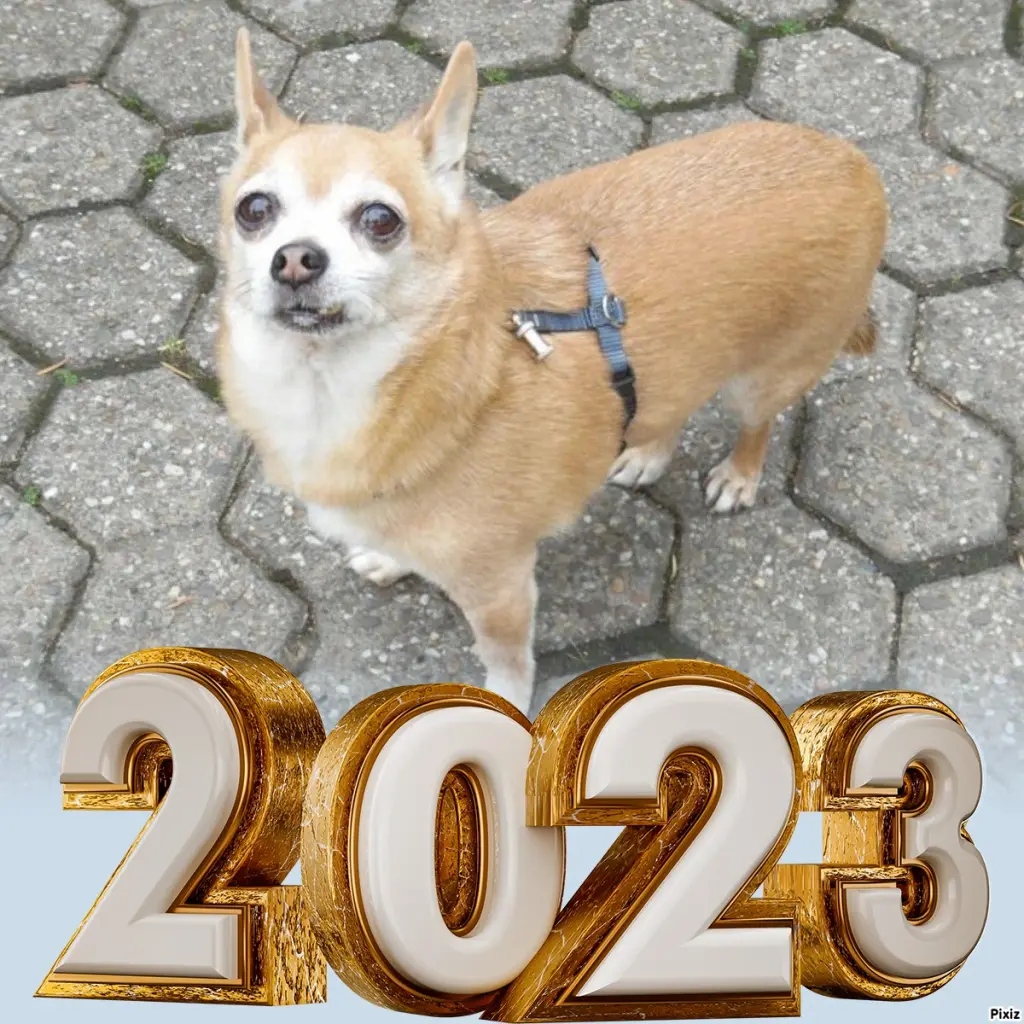 Andachtsbild von Neujahrsgrüße ❤️