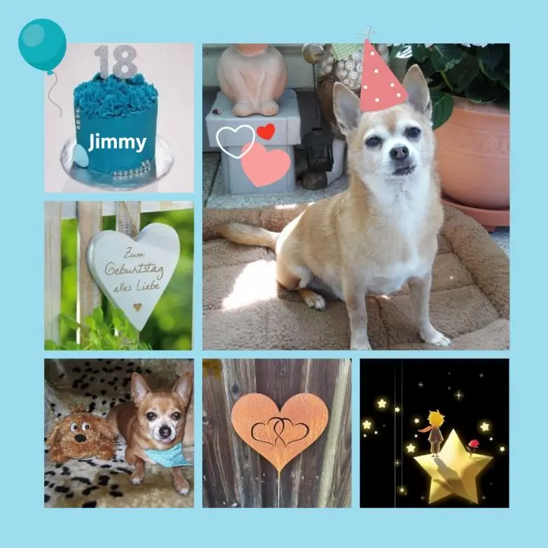 Andachtsbild von Geburtstagsrosen für Jimmy
