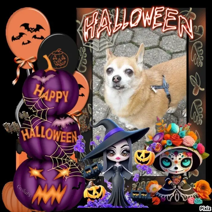 Andachtsbild von Happy Halloween