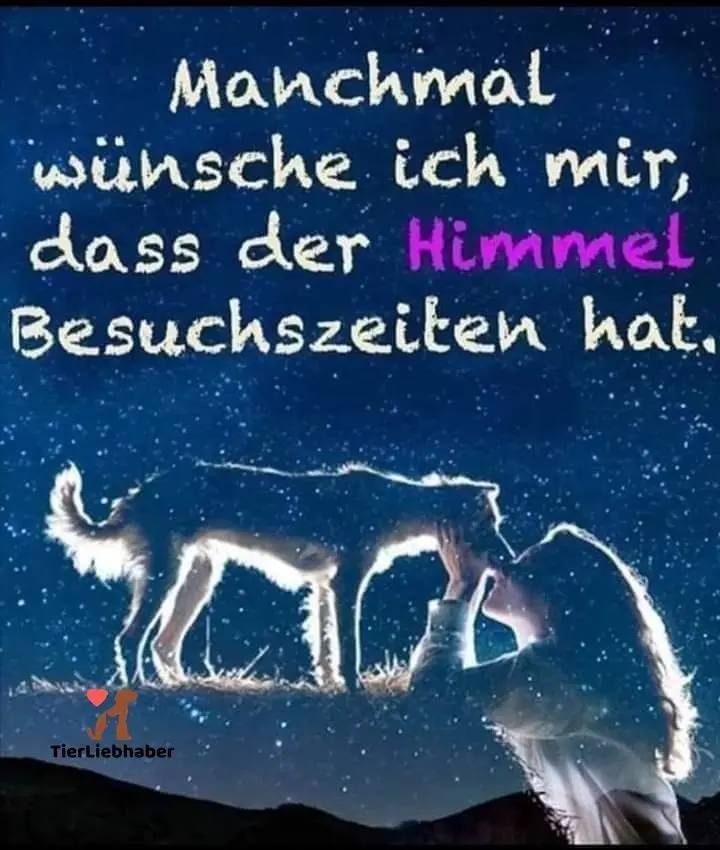 Andachtsbild von Gute Nacht Röschen für mein Sternchen ❤️ Jimmy ❤️