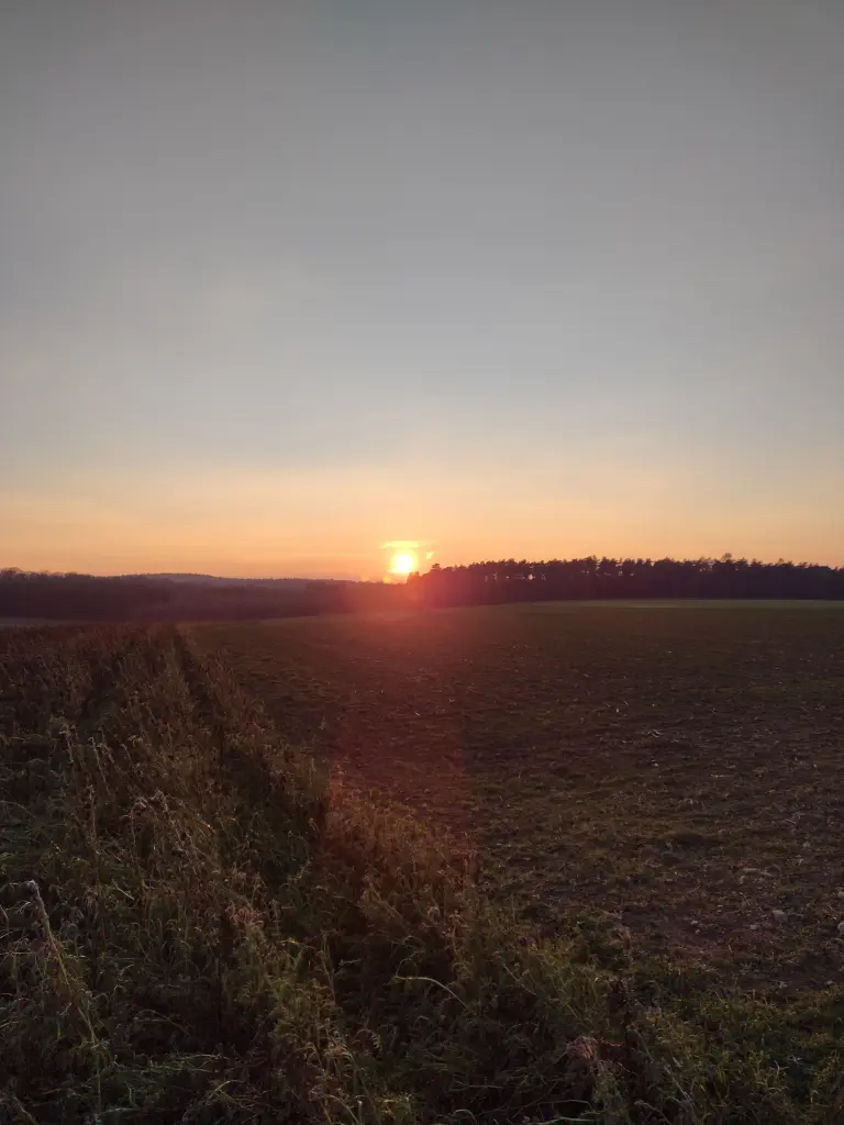 Andachtsbild von Corinna mit Emma(gest.14.7.2019), Jengi, Pummelchen und anderen Sternleine im Herzen