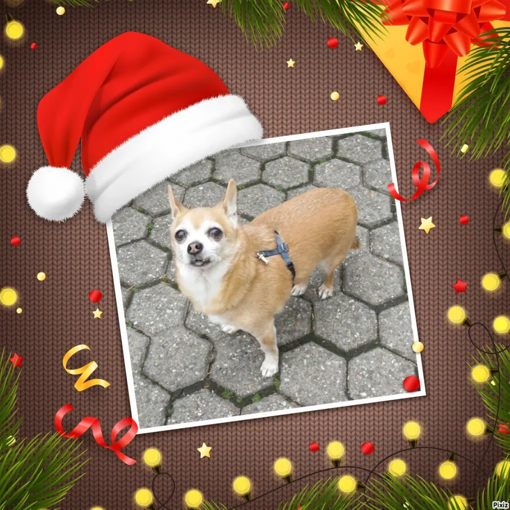 Andachtsbild von Schöne Festtage ❤️