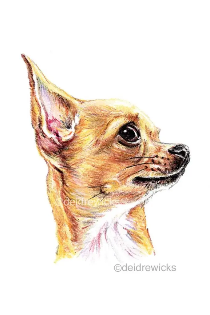 Andachtsbild von ❤️ Für meinen kleinen großen Schatz ❤️ JIMMY ❤️