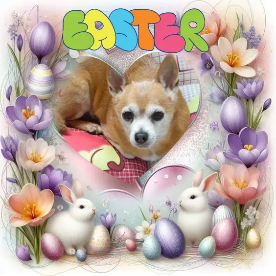 Andachtsbild von Frohe❤️❤️❤️Ostern❤️