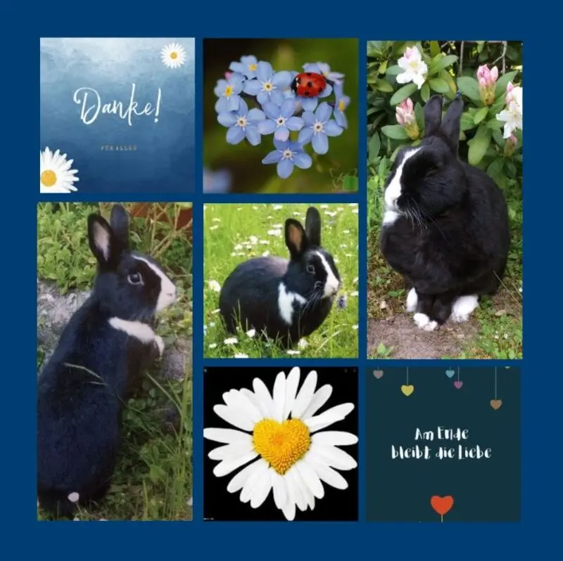 Andachtsbild von Danke von Jasper und Drina