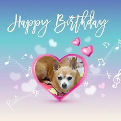 Andachtsbild von 20. Geburtstag❤️❤️❤️❤️❤️❤️❤️❤️❤️❤️❤️❤️❤️❤️❤️❤️❤️❤️❤️❤️