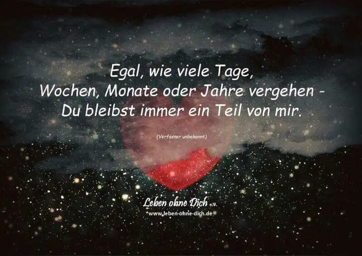 Andachtsbild von ❤️ Ein Gute Nacht Röschen für meinen HERZBEWOHNER ❤️ JIMMY ❤️