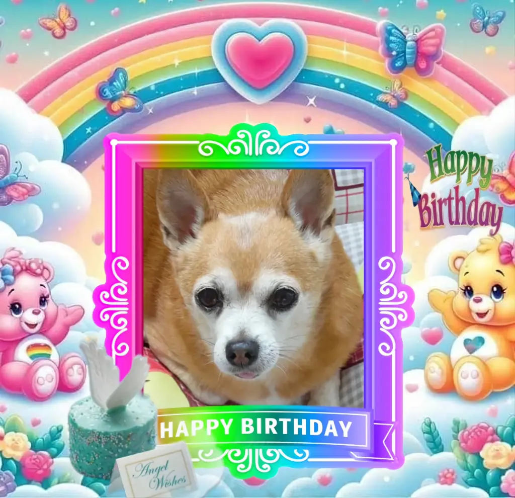 Condolence image of 21.Geburtstag❤️❤️❤️🫶🫶🫶💐💐💐🎂