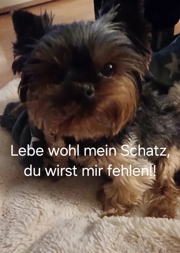 Image from Monty