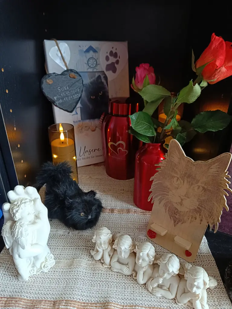 Meine Susi ist wieder zu Hause.