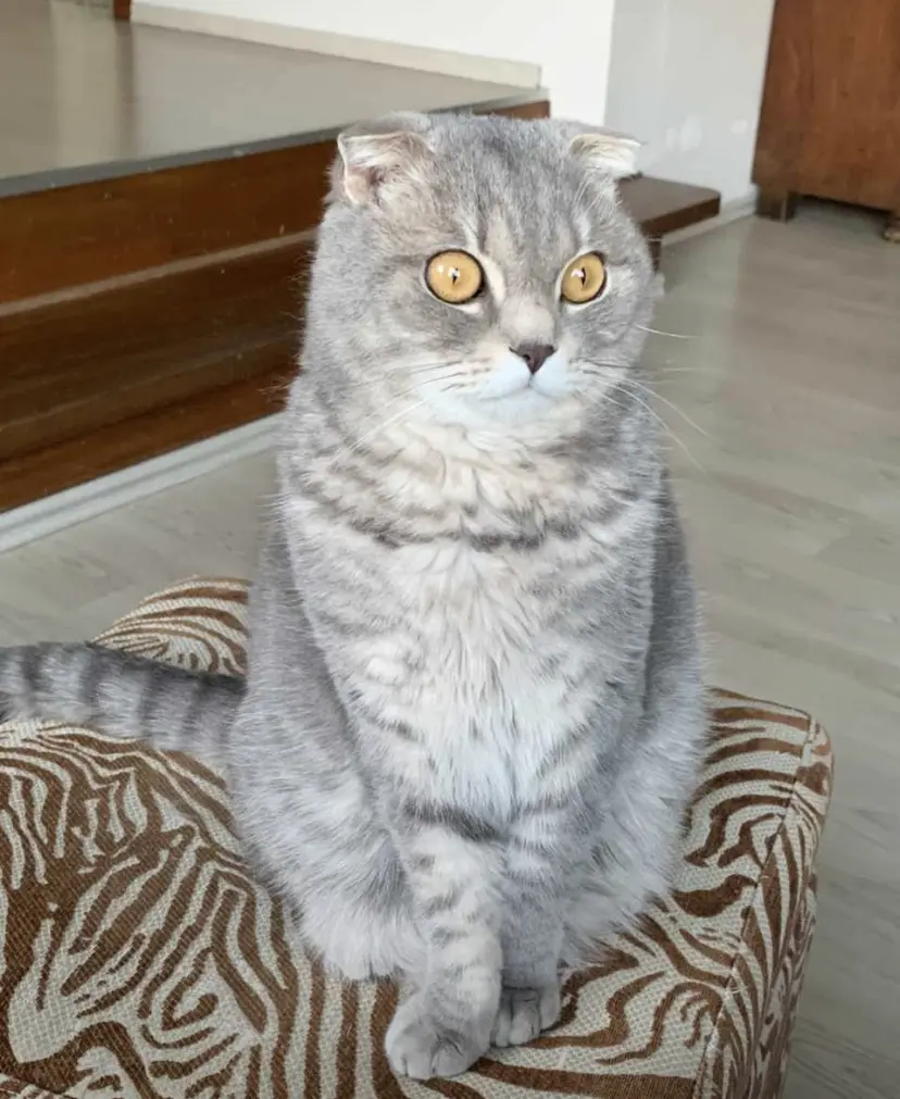 Andachtsbild von Ines Bredthauer