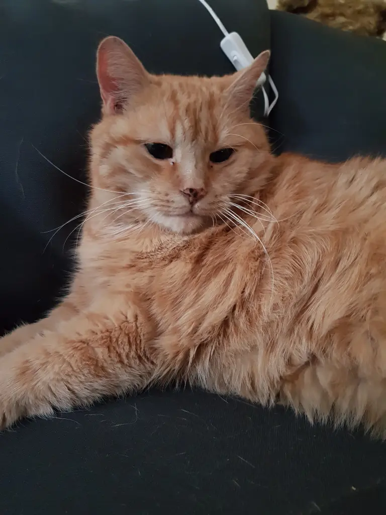 unser Bub