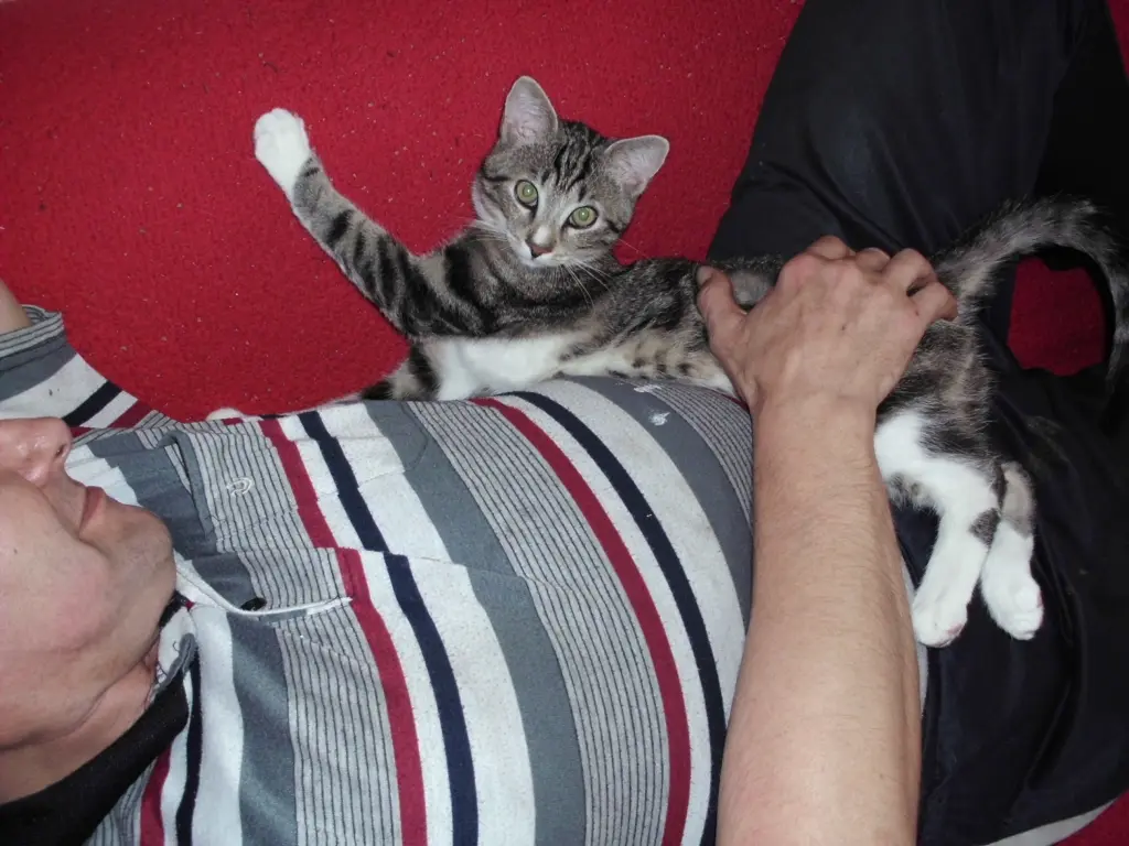 Ein Familienmitglied