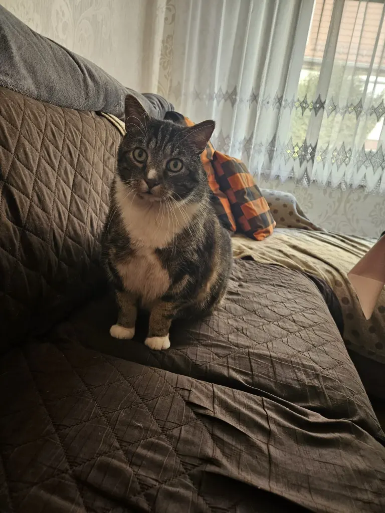 Immer ein treuer Freund