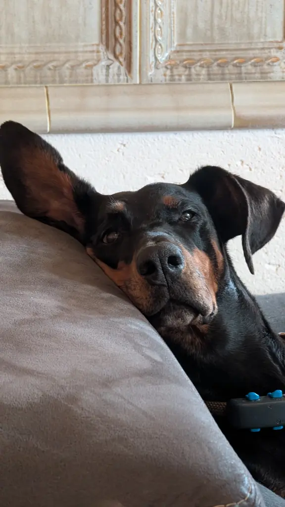 Condolence image of Ralph Beier