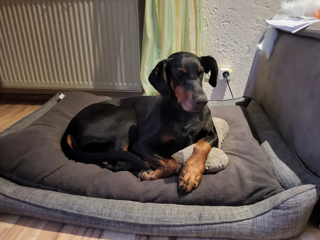 Condolence image of Ralph Beier