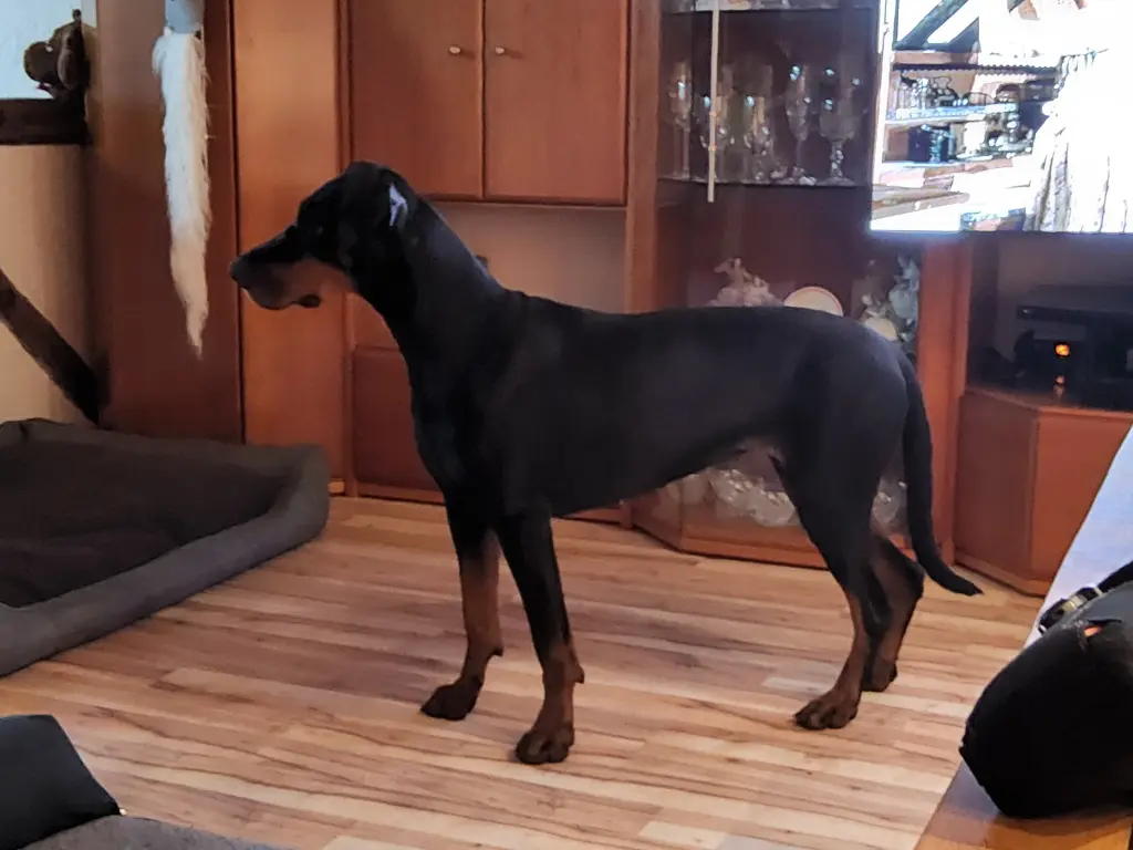 Condolence image of Ralph Beier