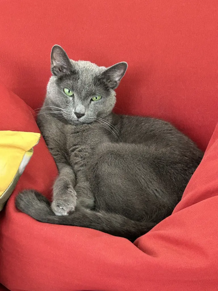 Bild von Garissa