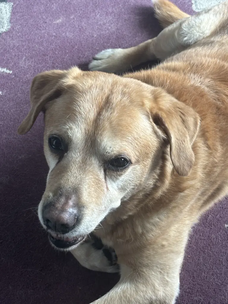 Condolence image of Kuba G