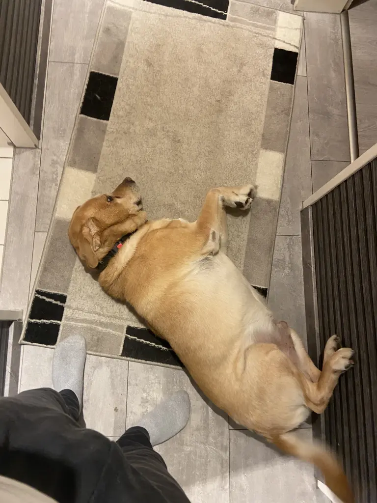 Condolence image of Kuba G