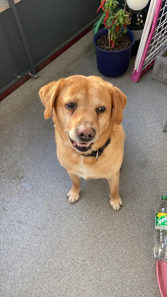 Condolence image of Kuba G