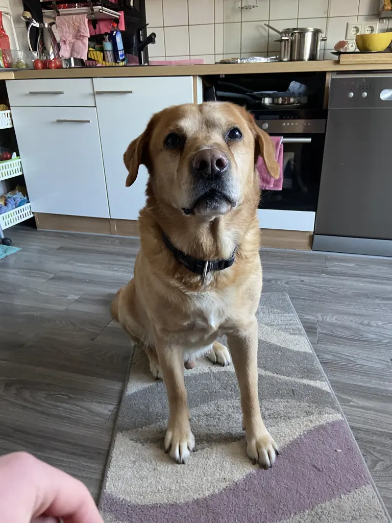 Condolence image of Kuba G