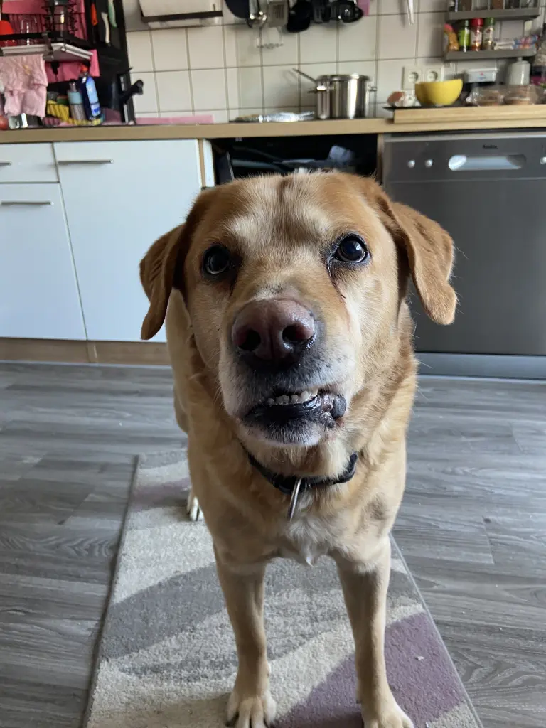 Condolence image of Kuba G