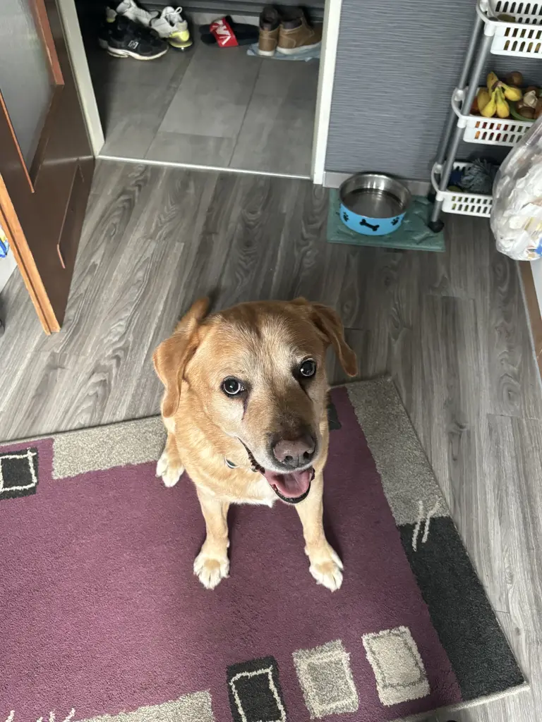 Condolence image of Kuba G