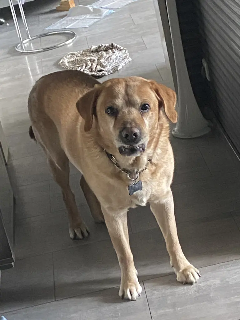 Condolence image of Kuba G