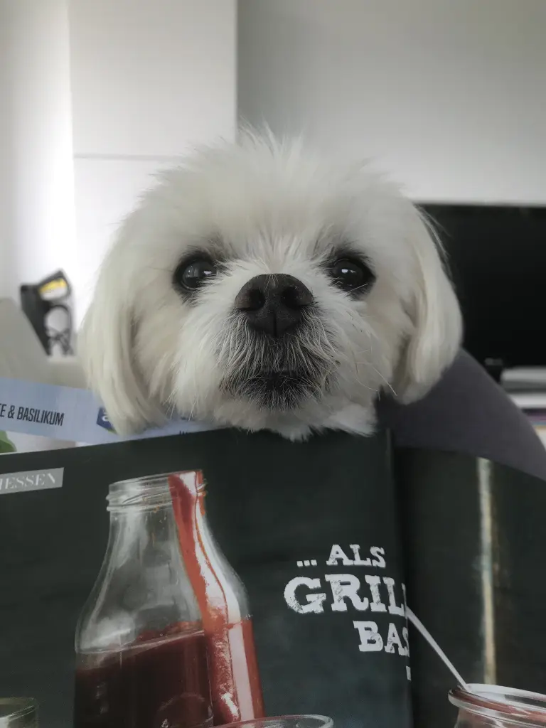 Condolence image of Marion