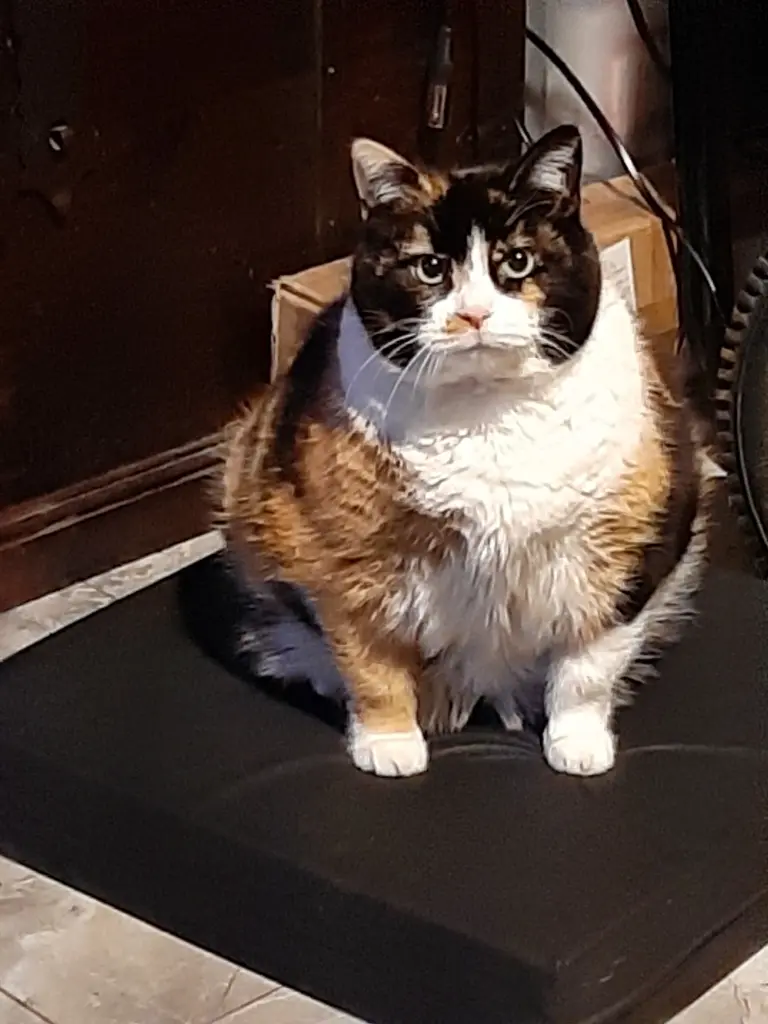 Bild von Schnuppe ( Sunny)