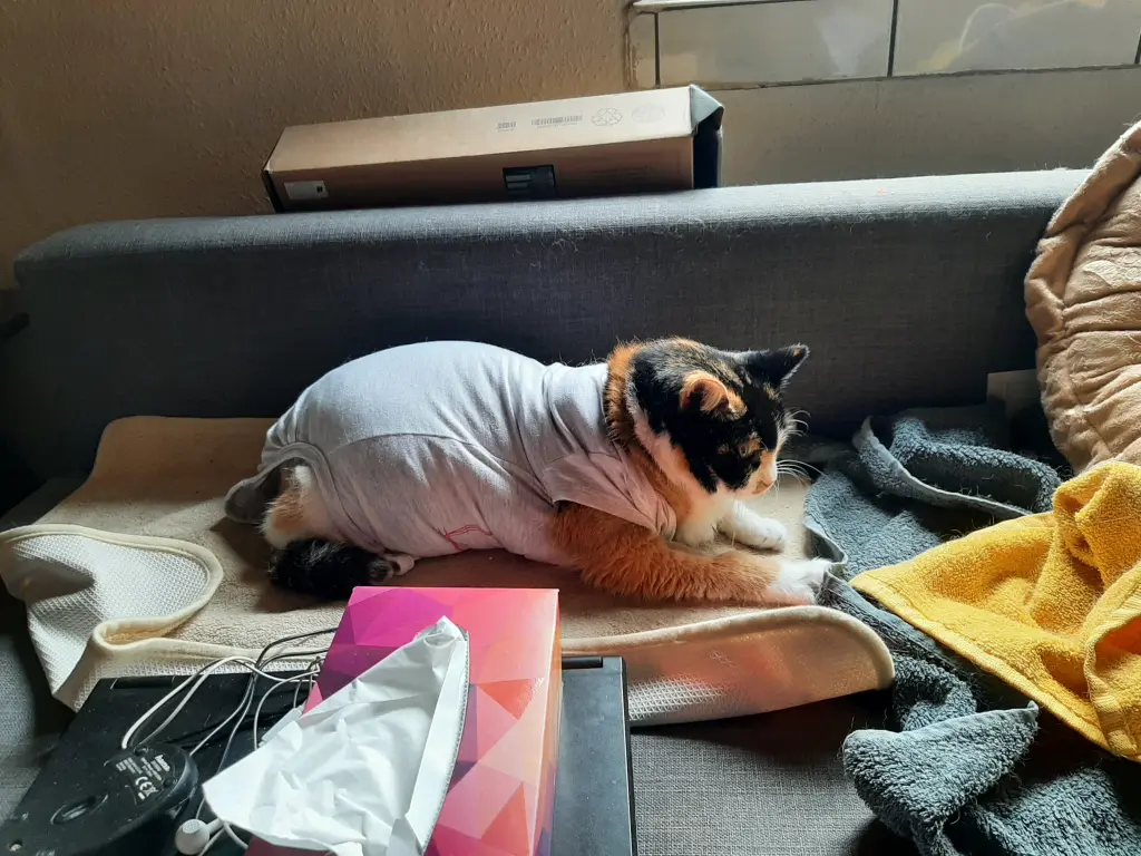 Bild von Schnuppe ( Sunny)