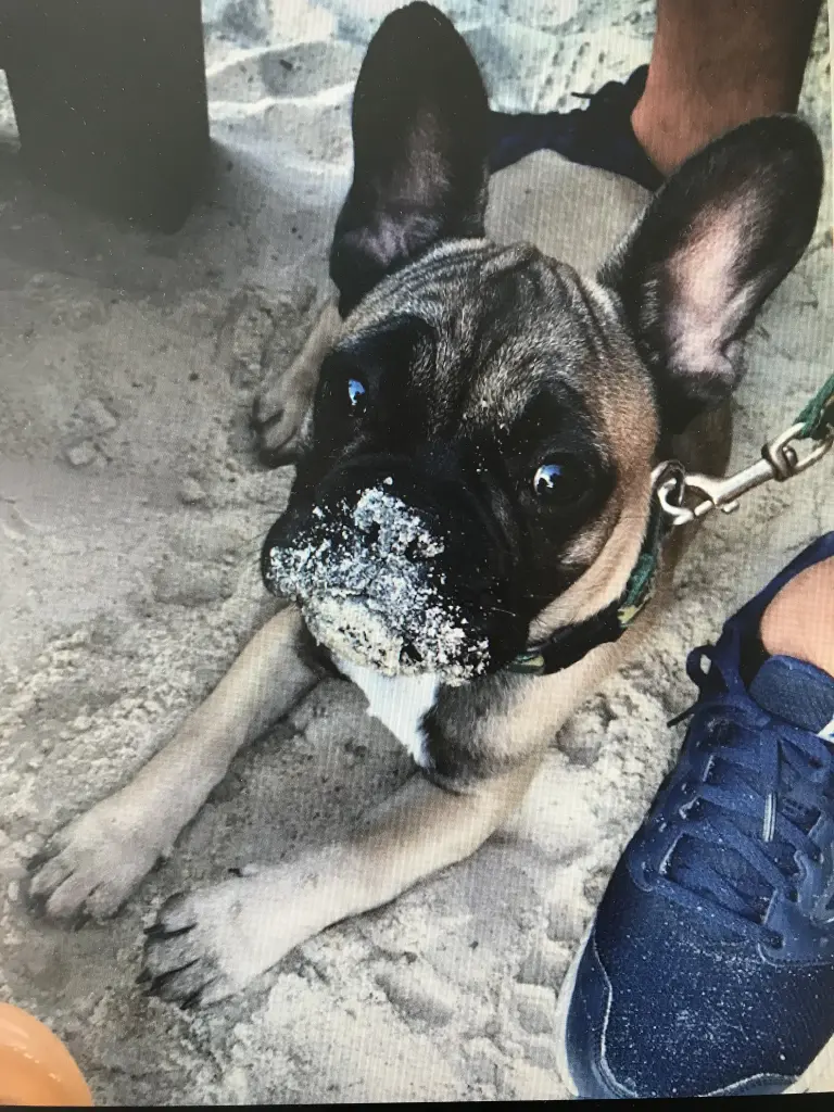 Condolence image of Karsten