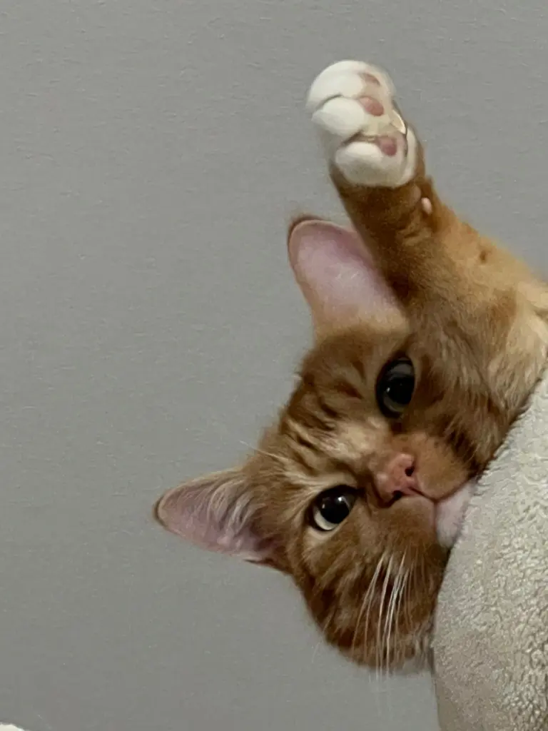 Andachtsbild von Doreen