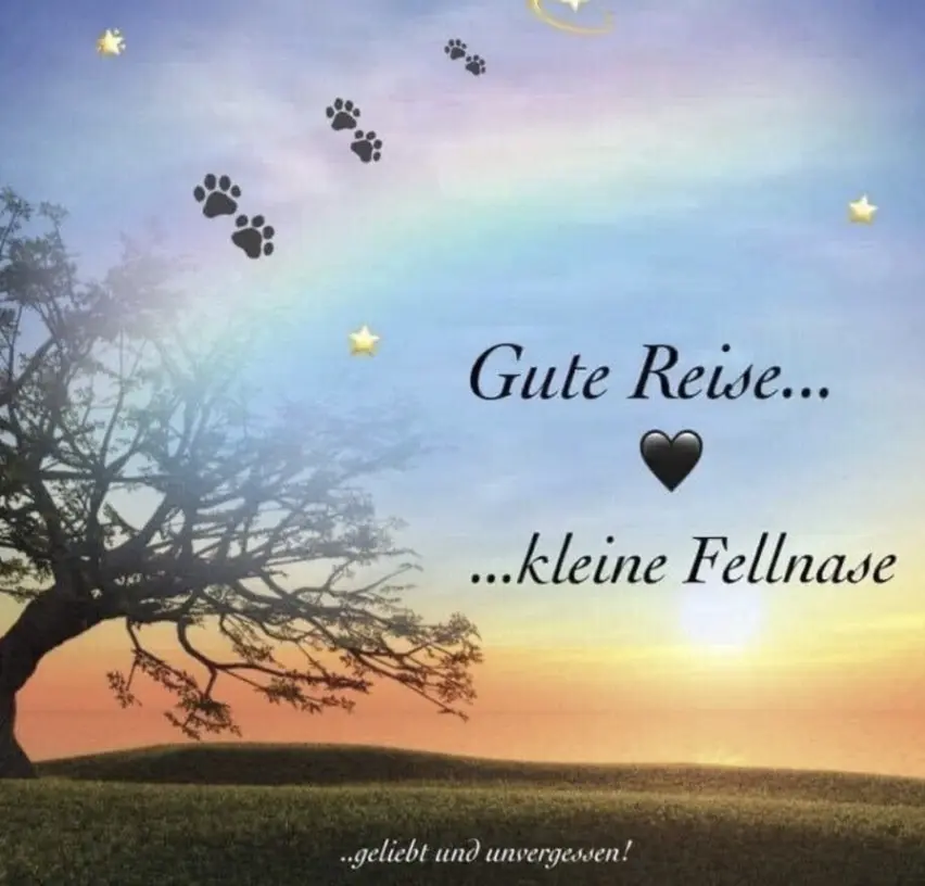 Andachtsbild von Heike