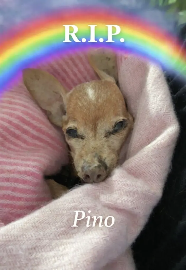 In meinem Arm friedlich eingeschlafen