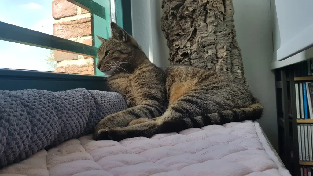 Wo sind die "Piep Piep's"?