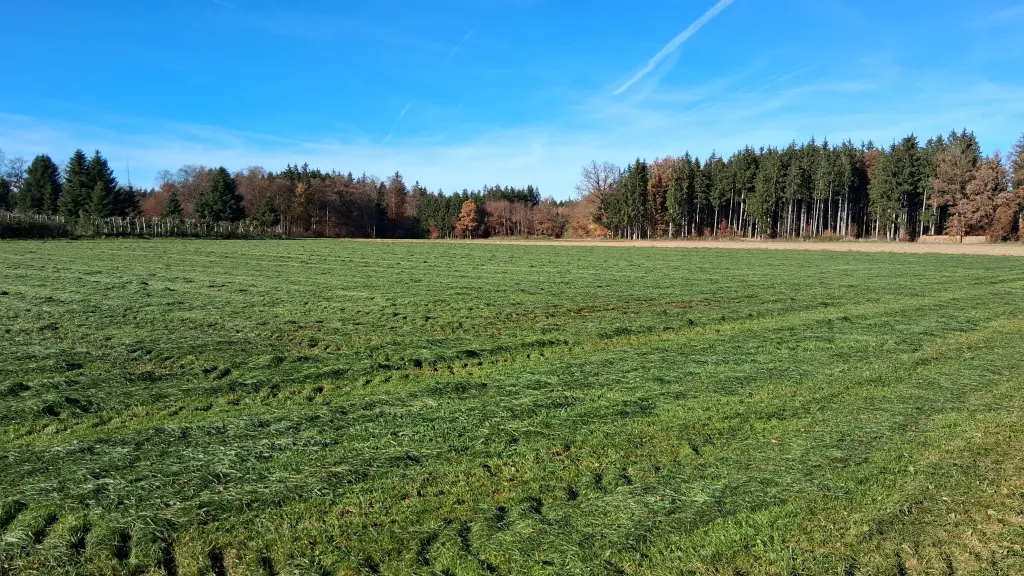 Condolence image of Erika Cremer