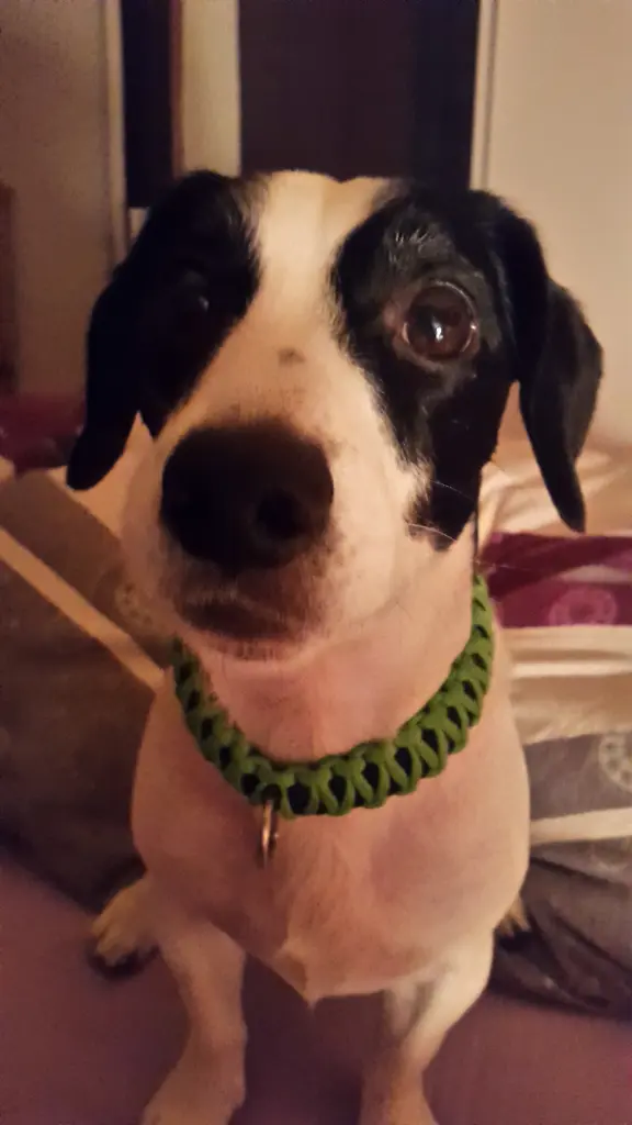 Condolence image of Thorsten