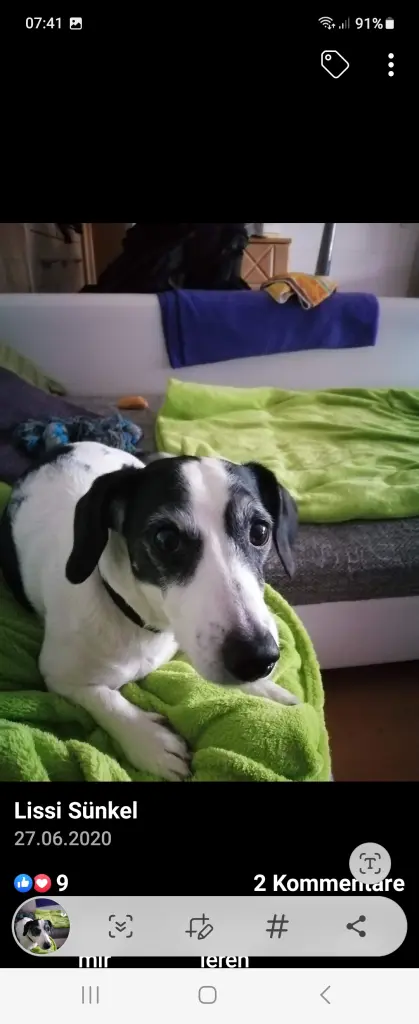 Condolence image of Martina Alles