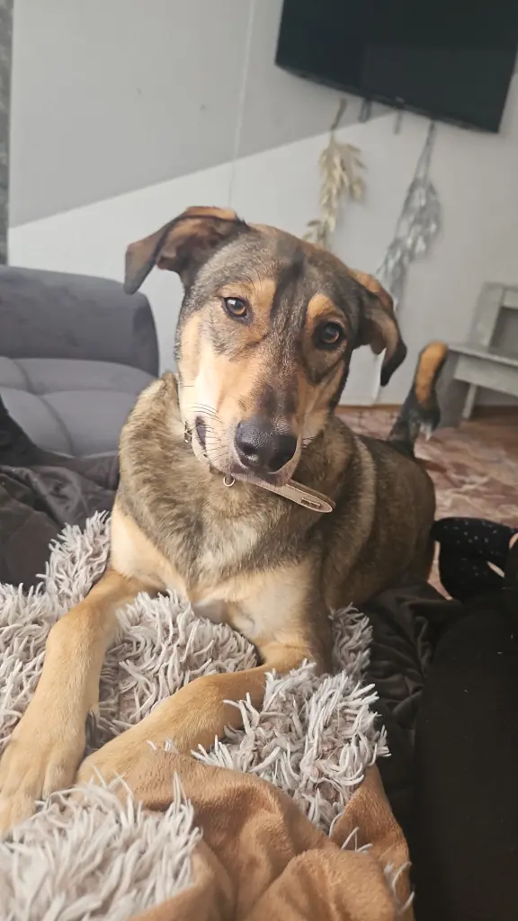 Bild von Milo