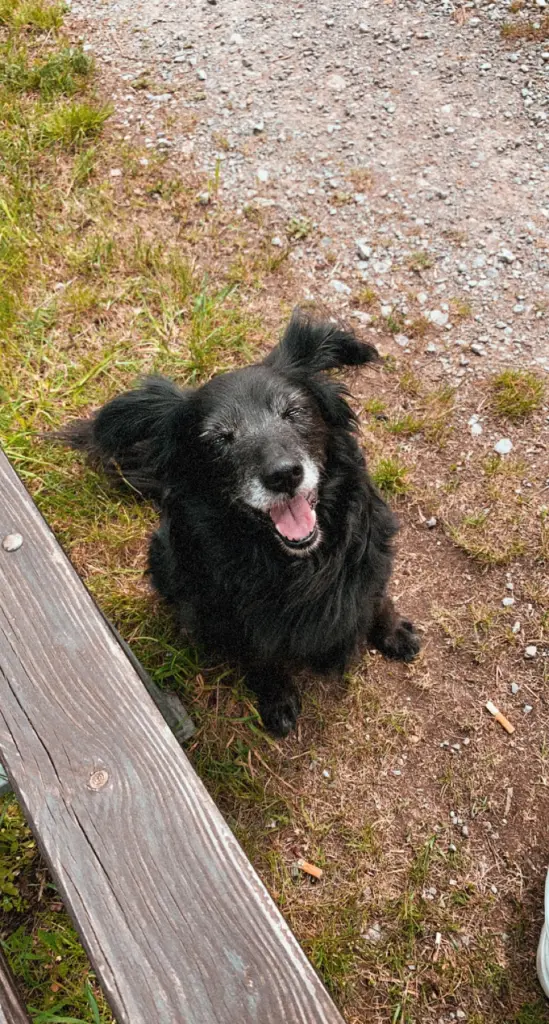 Condolence image of Vivien