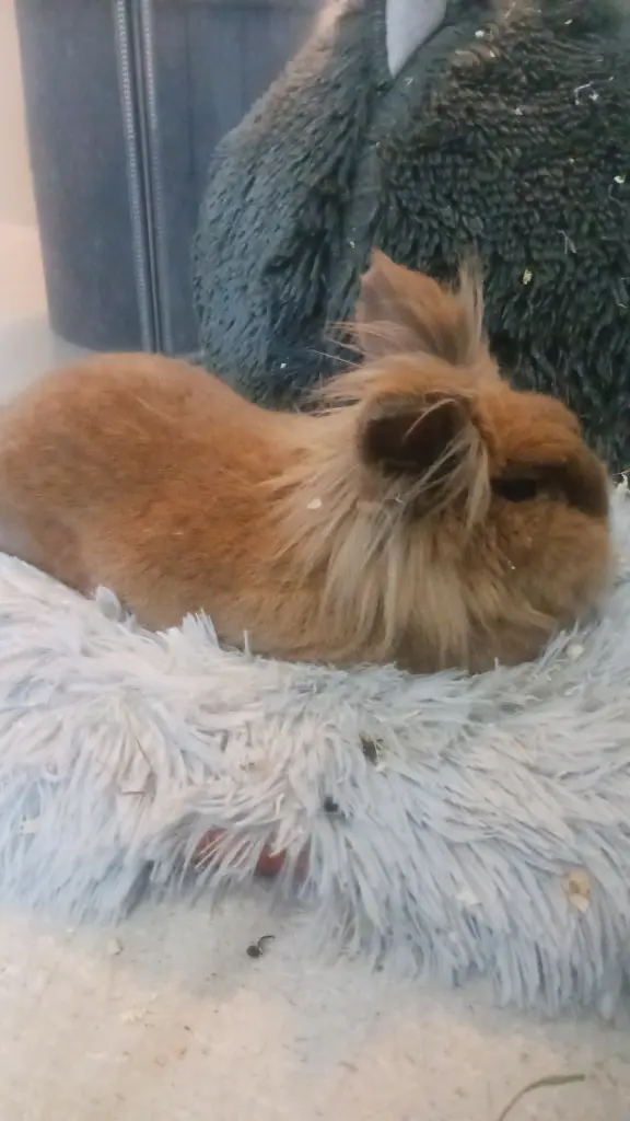 Condolence image of Justine Mölle