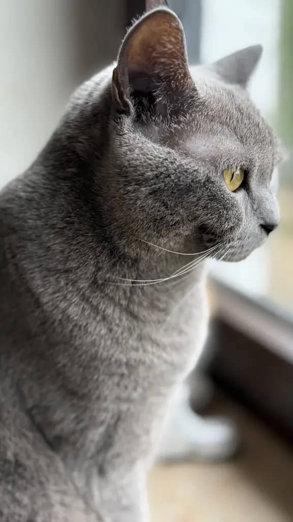 Mein wunderschöner kleiner Engel 🖤🖤🖤