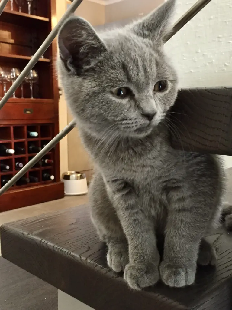 Mein kleiner Schatz 🖤🖤