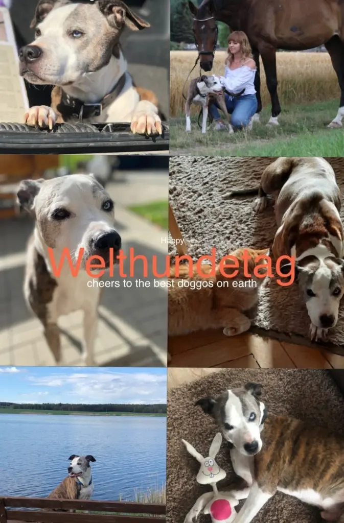 Bild von Zeus
