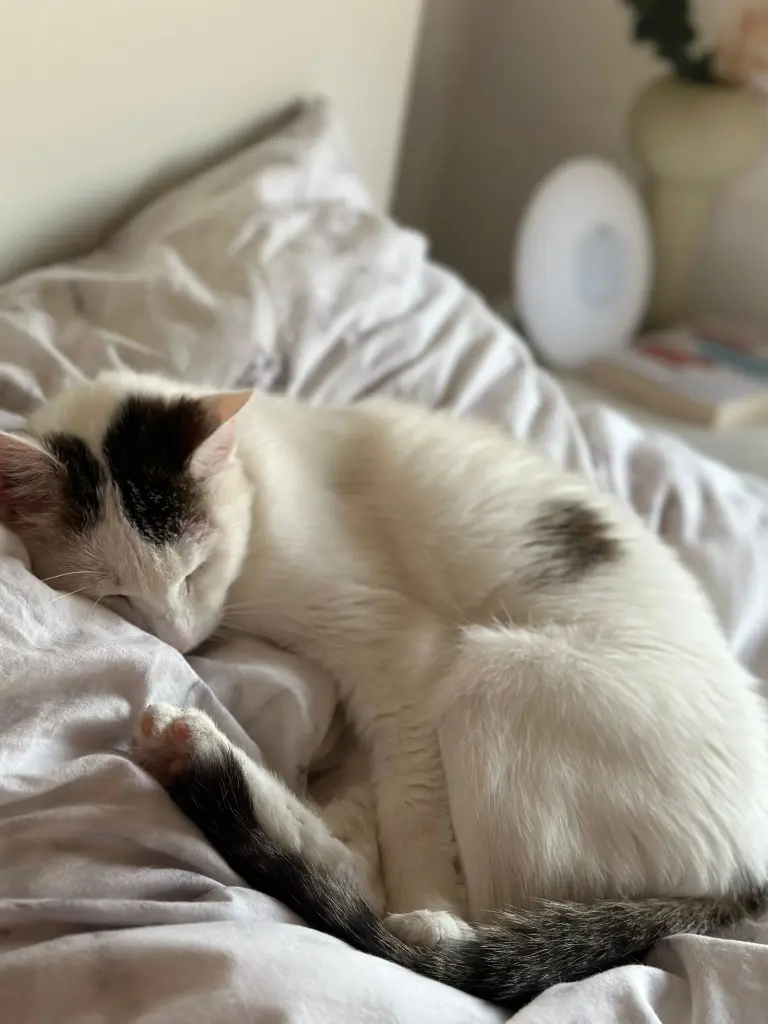 Andachtsbild von Luna Wutke