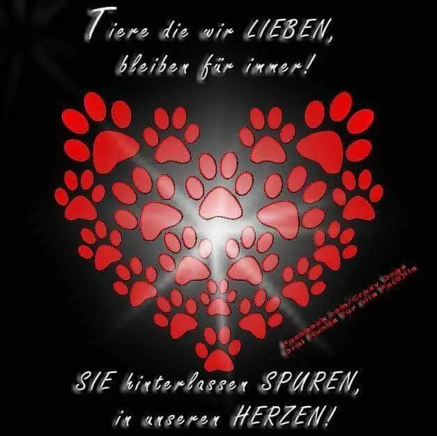 Condolence image of Konny mit Piccolino-Fly tief im ❤️