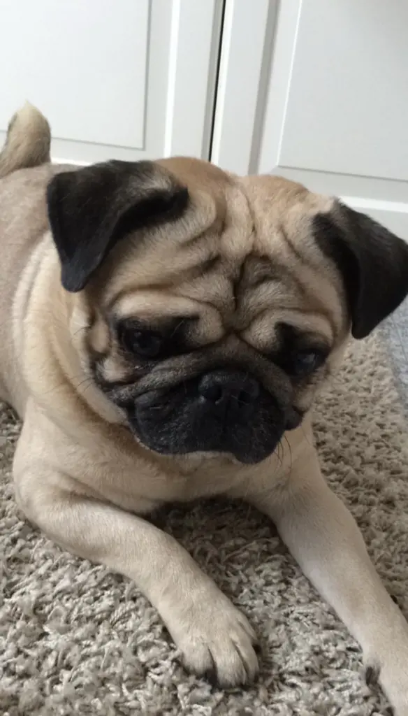 Condolence image of Julienne